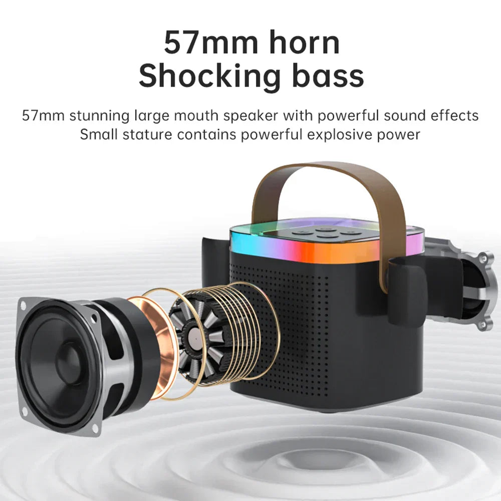 Portable Bluetooth Karaoke Speaker System With Microphones
